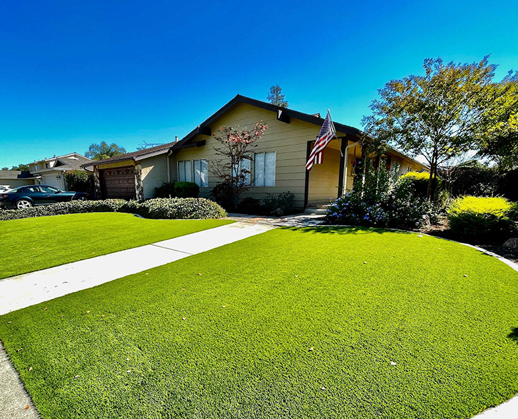 How Adding Artificial Grass Improves Your Home's Value
