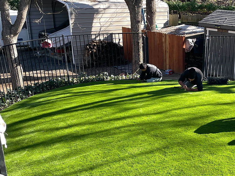 Unravel the Science Behind Your Artificial Grass in Houston!