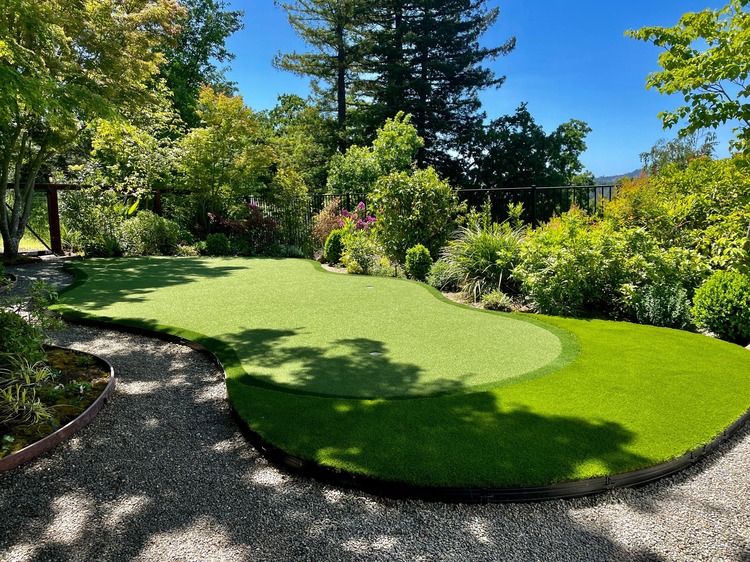 Backyard Putting Green lawn