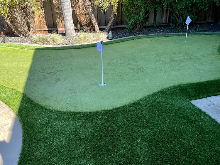 Creating a Year-Round Green Oasis with Arizona Artificial Grass