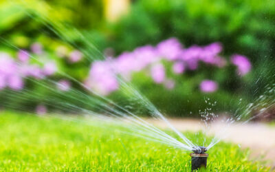 Easy Sustainable Landscaping: Eco-Friendly Benefits of Artificial Grass in San Antonio TX