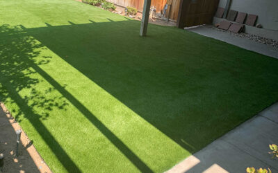 Barefoot Friendly: The Comfort Of Walking On Las Vegas Artificial Grass