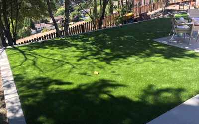 The Multi-Use Yard: Designing Versatile Landscaping With Artificial Turf in Boston