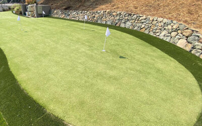 The Role of Artificial Grass Installation in Phoenix for Consistent Practice, Explained