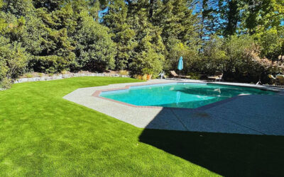 Transform Your Pool: 7 Vibrant Color Options for Artificial Turf in Salt Lake City
