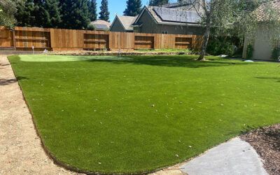 From Brown to Evergreen: How Artificial Grass in Fresno Creates Pristine Lawns