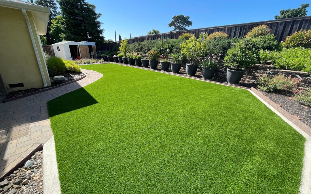 The Eco-Sustainability of Artificial Turf for Yards