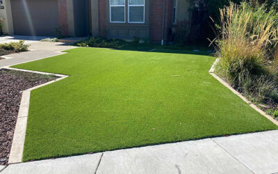 Cut Your Water Bill: The Effect of an Artificial Grass Installation on Outdoor Water Use