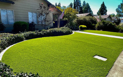 Indoor Artificial Grass: Innovative Ways to Bring Nature Indoors