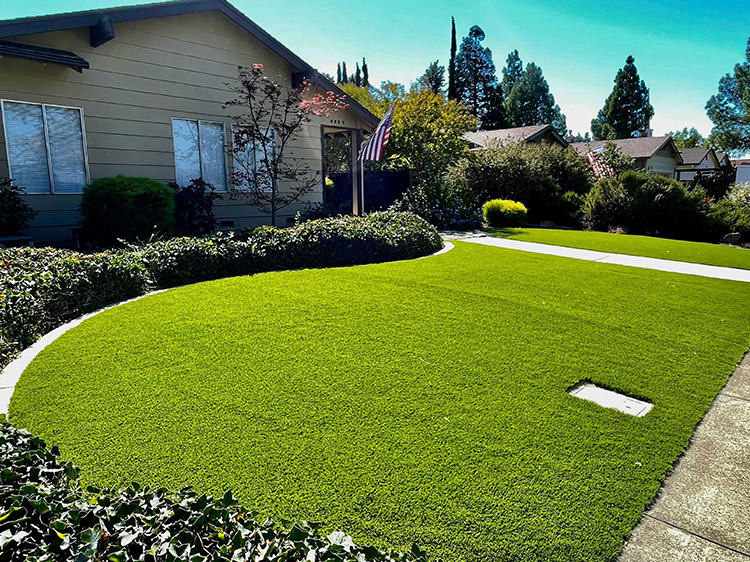 Indoor Artificial Grass: Innovative Ways to Bring Nature Indoors