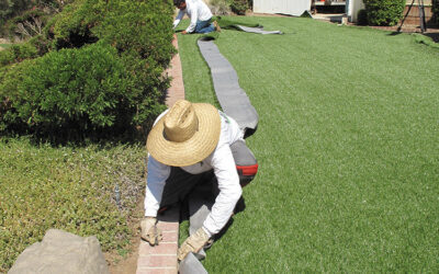 Professional Putting Green Installation: What to Expect