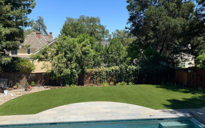 Artificial Grass for Poolside Areas: Comfort, Safety, and Aesthetics