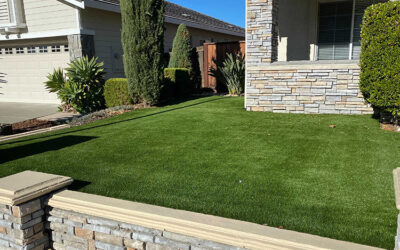 Dispelling Common Myths About Artificial Grass