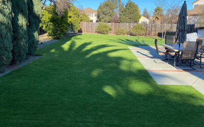 The Environmental Benefits of Switching to Artificial Grass