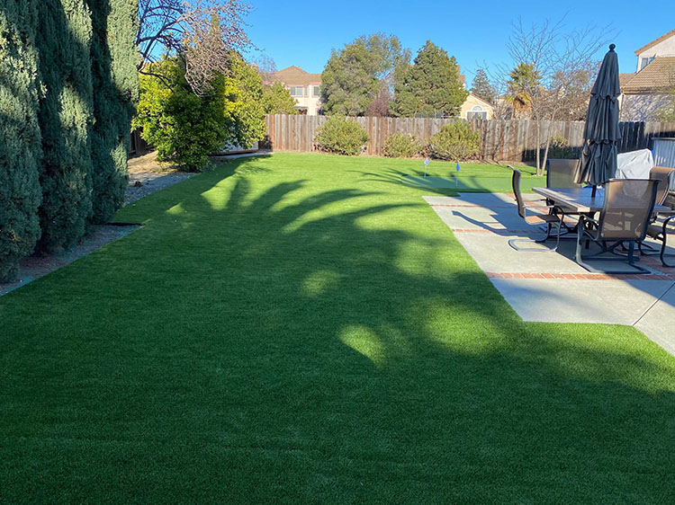 The Environmental Benefits of Switching to Artificial Grass