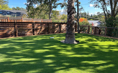 How Artificial Grass Can Transform Your Patio Area