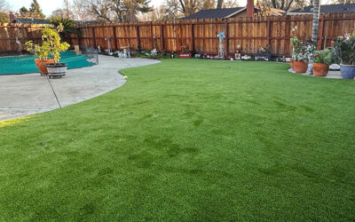 Artificial Grass Maintenance: Tips for Keeping It Looking Fresh All Year Round