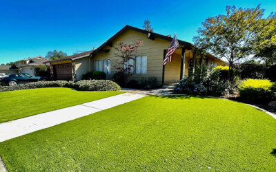 How Adding Artificial Grass Improves Your Home’s Value in Phoenix