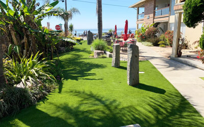 Tips for Combining Natural Plants with Artificial Grass in Your Garden