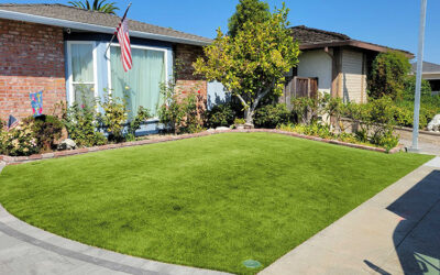 Exploring the Different Types of Artificial Grass Fibers