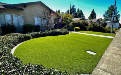 The History of Artificial Grass: From Sports Fields to Residential Landscapes