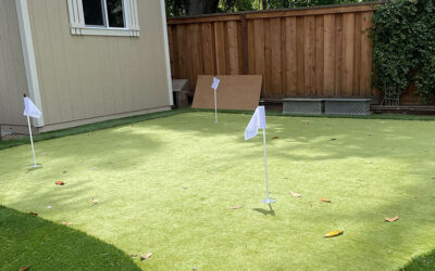 The Longevity Advantage: How Synthetic Grass Outlasts Real Grass for Backyard Golf Games