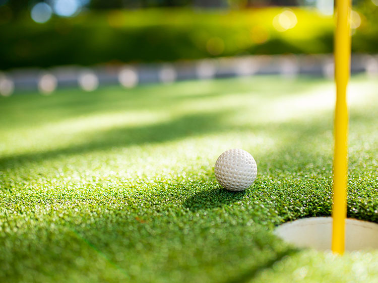 The Minimal Maintenance Appeal of Artificial Grass for Backyard Putting Greens