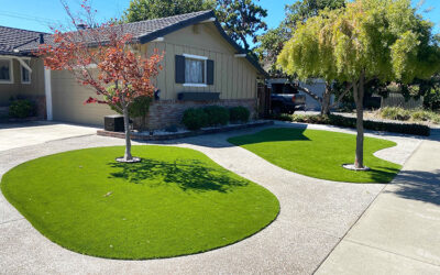 Top 5 Surprising Benefits of Artificial Grass You Didn’t Know