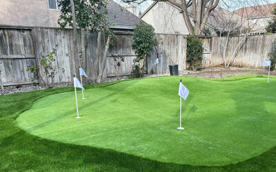 Why Artificial Grass Putting Greens Offer Better Ball Roll than Natural Grass