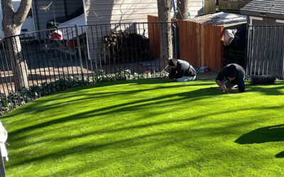 The Science Behind Artificial Grass: Unraveling the Construction Process