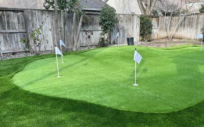 Why Choose Artificial Grass over Natural Grass for Backyard Putting Greens