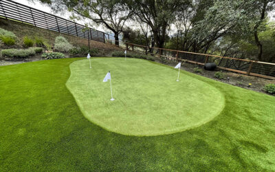 How to Customize Your Backyard Putting Green for Your Skill Level