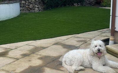 Tips for Maintaining a Fresh-Smelling Yard with Artificial Grass and Pets