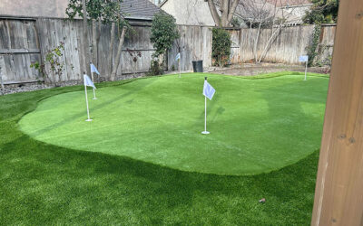 Choosing the Ideal Artificial Grass for Your Backyard Putting Green