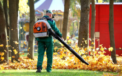 How to Maintain Your Home’s Artificial Grass
