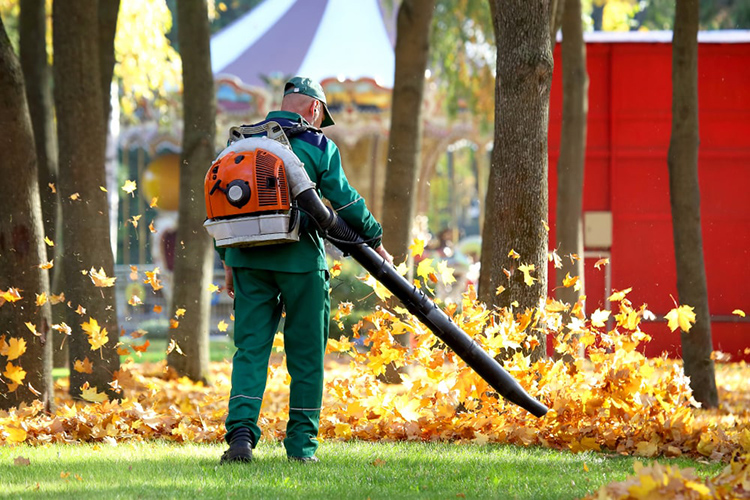 How to Maintain Your Home’s Artificial Grass