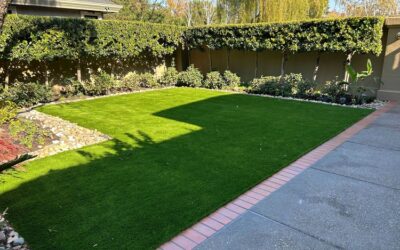 The Impact of Artificial Grass on Your Home’s Energy Efficiency