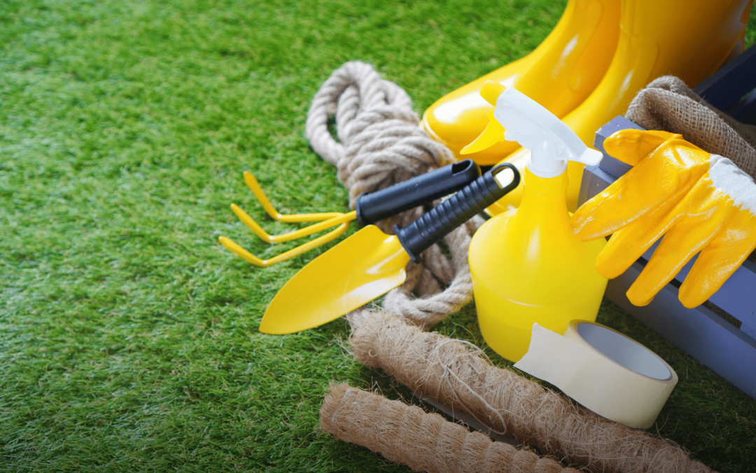 How to Maintain a Fresh and Odor-Free Yard with Pet Turf Installation