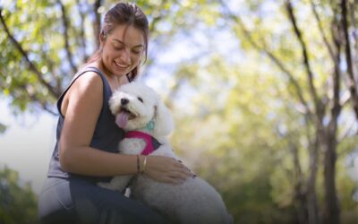 Why Pet Owners Are Switching to Artificial Lawn for Pets